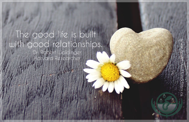 The good life is built with good relationships. Quote from Dr. Waldinger, Researcher/Psychiatrist from Harvard University. From the TED Talk. 75 year longitudinal study